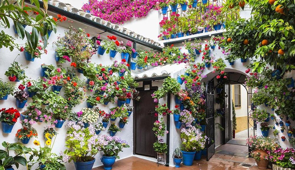 Hacienda Miraflores Córdoba Kültér fotó